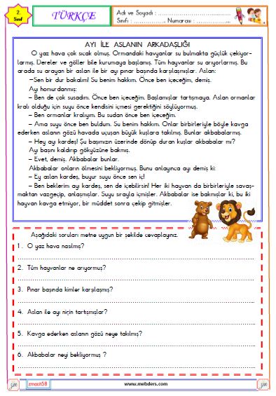 2. Sınıf Türkçe Okuma ve Anlama Metni Etkinliği (Ayı ile Aslanın Arkadaşlığı)